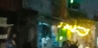 चफरिया बाजार में आवारा सांड भिड़े, दो दुकानों को नुकसान:लड़ाई से दहशत, दुकानदारों ने छुट्टा मवेशियों को हटाने की मांग की चफरिया बाजार में आवारा सांड भिड़े, दो दुकानों को नुकसान:लड़ाई से दहशत, दुकानदारों ने छुट्टा मवेशियों को हटाने की मांग की