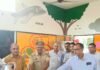 मुंडेरवा स्कूल प्रधानाध्यापक ने 113 बच्चों को मुफ्त बैग दिए:समाजसेवी की पहल से बच्चों के चेहरे खिले मुंडेरवा स्कूल प्रधानाध्यापक ने 113 बच्चों को मुफ्त बैग दिए:समाजसेवी की पहल से बच्चों के चेहरे खिले