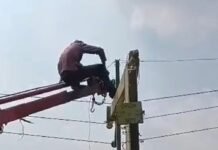श्रावस्ती के गिलौला में 12 दिन से बिजली गुल:बारिश-हवा से लाइनें क्षतिग्रस्त, लाइनमैन और कर्मचारी सुबह से शाम तक जुटे