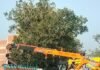 नेशनल हाईवे पर अनियंत्रित होकर खाई में पलटा ट्रक:NH 730 पर बलरामपुर से बहराइच जा रहा था, सीता द्वार मोड़ के पास हुआ हादसा नेशनल हाईवे पर अनियंत्रित होकर खाई में पलटा ट्रक:NH 730 पर बलरामपुर से बहराइच जा रहा था, सीता द्वार मोड़ के पास हुआ हादसा