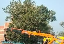 नेशनल हाईवे पर अनियंत्रित होकर खाई में पलटा ट्रक:NH 730 पर बलरामपुर से बहराइच जा रहा था, सीता द्वार मोड़ के पास हुआ हादसा नेशनल हाईवे पर अनियंत्रित होकर खाई में पलटा ट्रक:NH 730 पर बलरामपुर से बहराइच जा रहा था, सीता द्वार मोड़ के पास हुआ हादसा