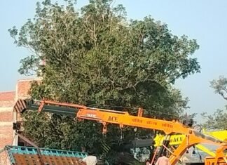 नेशनल हाईवे पर अनियंत्रित होकर खाई में पलटा ट्रक:NH 730 पर बलरामपुर से बहराइच जा रहा था, सीता द्वार मोड़ के पास हुआ हादसा नेशनल हाईवे पर अनियंत्रित होकर खाई में पलटा ट्रक:NH 730 पर बलरामपुर से बहराइच जा रहा था, सीता द्वार मोड़ के पास हुआ हादसा