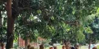 नए एसपी ने हर्रैया थाने का निरीक्षण किया:कानून-व्यवस्था और जनसुनवाई सुधारने के लिए दिए सख्त निर्देश नए एसपी ने हर्रैया थाने का निरीक्षण किया:कानून-व्यवस्था और जनसुनवाई सुधारने के लिए दिए सख्त निर्देश