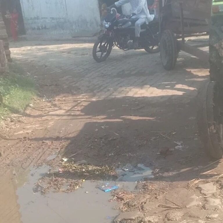 दिकौली के रास्ते पर पानी-कीचड़ जमा:दुर्गंध और मच्छरों से लोग परेशान, चौराहे तक आने-जाने में दिक्कत