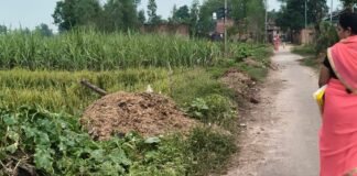 कोयलाहवा में सड़क पर गंदगीऔर गोबर के ढेरसे राहगीर परेशान:ग्रामीणों के अतिक्रमण से सिकुड़ा रास्ता, स्कूल जाने वाले बच्चों को उठानी पड़ रही परेशानी कोयलाहवा में सड़क पर गंदगीऔर गोबर के ढेरसे राहगीर परेशान:ग्रामीणों के अतिक्रमण से सिकुड़ा रास्ता, स्कूल जाने वाले बच्चों को उठानी पड़ रही परेशानी
