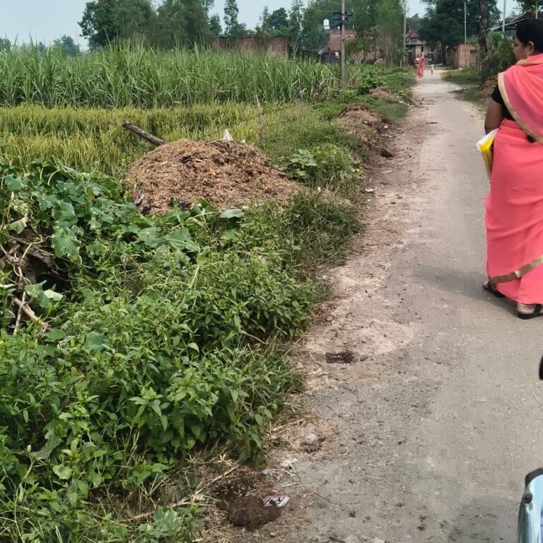 कोयलाहवा में सड़क पर गंदगीऔर गोबर के ढेरसे राहगीर परेशान:ग्रामीणों के अतिक्रमण से सिकुड़ा रास्ता, स्कूल जाने वाले बच्चों को उठानी पड़ रही परेशानी