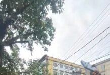 असम उपचुनाव जीतते ही भाजपा का अजमल पर निशाना