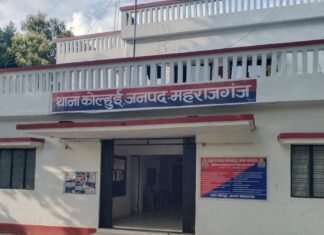 कोल्हुई में गर्भवती महिला से मारपीट:घास काटने को लेकर हुआ था विवाद, शरीर पर चोट के निशान