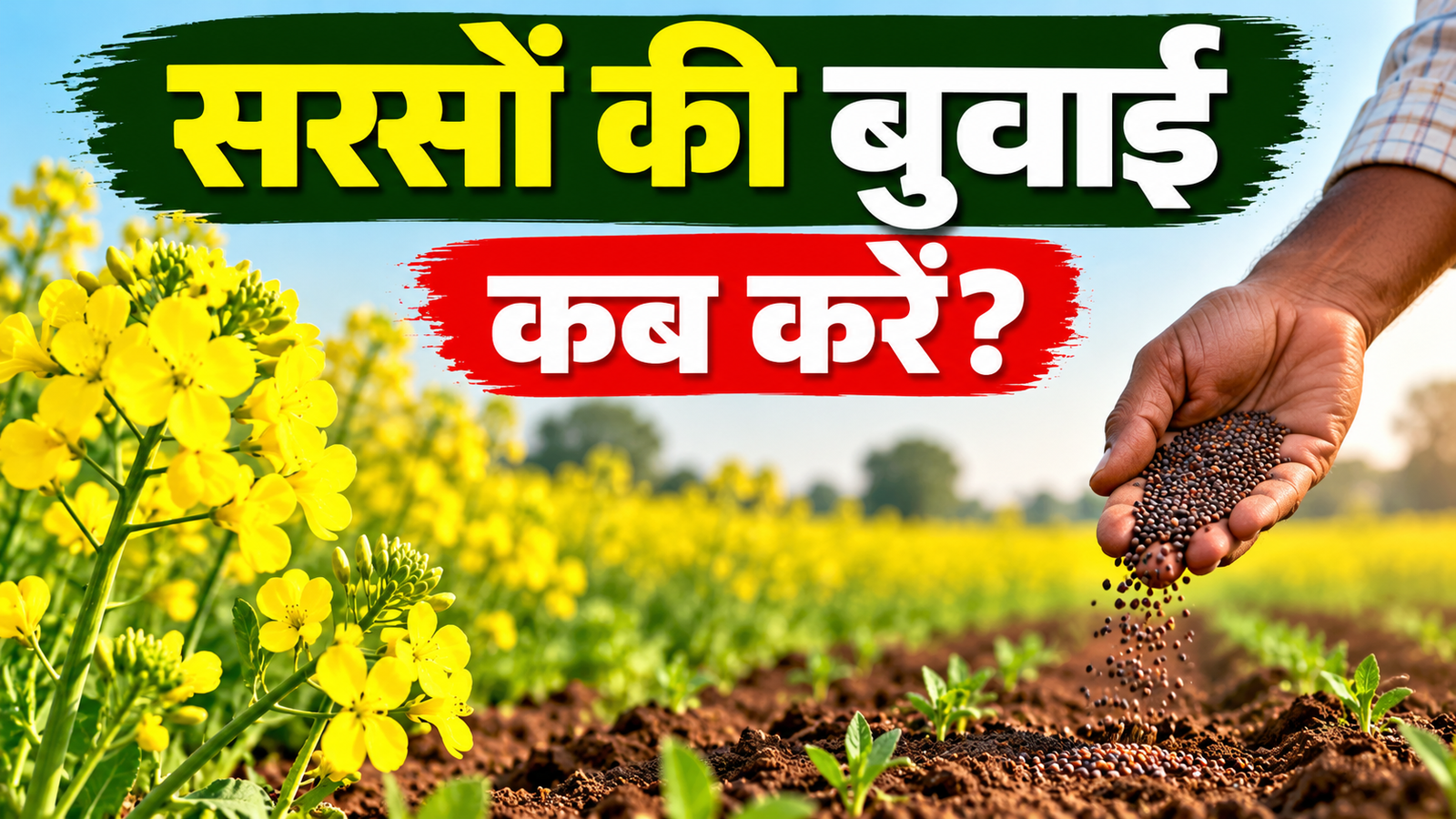 Sarson Ki Buwai Kab Karein? जानें सही समय और बुवाई का तरीका