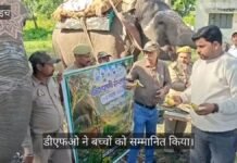 Video: बहराइच में घड़ियाल सेंटर पर चित्रकला व क्विज प्रतियोगिता, डीएफओ ने बच्चों को सम्मानित किया Video: बहराइच में घड़ियाल सेंटर पर चित्रकला व क्विज प्रतियोगिता, डीएफओ ने बच्चों को सम्मानित किया