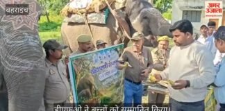Video: बहराइच में घड़ियाल सेंटर पर चित्रकला व क्विज प्रतियोगिता, डीएफओ ने बच्चों को सम्मानित किया Video: बहराइच में घड़ियाल सेंटर पर चित्रकला व क्विज प्रतियोगिता, डीएफओ ने बच्चों को सम्मानित किया