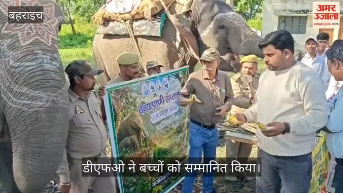 Video: बहराइच में घड़ियाल सेंटर पर चित्रकला व क्विज प्रतियोगिता, डीएफओ ने बच्चों को सम्मानित किया