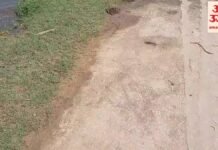 बस्ती में बाढ़ का कहर:बारहछत्तर धाम के रास्ते पर दो फीट से अधिक पानी – Flood Crisis Over Two Feet Of Water On Barahchhattar Dham Road बस्ती में बाढ़ का कहर:बारहछत्तर धाम के रास्ते पर दो फीट से अधिक पानी - Flood Crisis Over Two Feet Of Water On Barahchhattar Dham Road