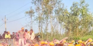 रामपुर धोबियाहार में निकली भव्य कलश यात्रा:नवरात्रि से पहले दुर्गा पूजा समितियों की तैयारियां तेज, वैवाही चौकी क्षेत्र में 17 जगहों पर लगेंगी प्रतिमाएं रामपुर धोबियाहार में निकली भव्य कलश यात्रा:नवरात्रि से पहले दुर्गा पूजा समितियों की तैयारियां तेज, वैवाही चौकी क्षेत्र में 17 जगहों पर लगेंगी प्रतिमाएं