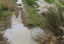 सेमरौना-जलालपुर संपर्क मार्ग बदहाल:ग्रामीणों ने कई बार शिकायत की, अब तक सुनवाई नहीं हुई सेमरौना-जलालपुर संपर्क मार्ग बदहाल:ग्रामीणों ने कई बार शिकायत की, अब तक सुनवाई नहीं हुई