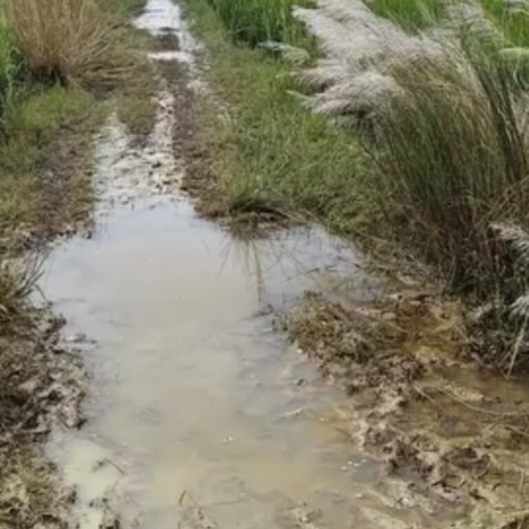 सेमरौना-जलालपुर संपर्क मार्ग बदहाल:ग्रामीणों ने कई बार शिकायत की, अब तक सुनवाई नहीं हुई