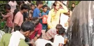 बहराइच में पेट्रोल से भरा टैंकर पलटा:डिब्बे-बाल्टियां लेकर पहुंचे ग्रामीण, भीड़ संभालने में जुटी पुलिस बहराइच में पेट्रोल से भरा टैंकर पलटा:डिब्बे-बाल्टियां लेकर पहुंचे ग्रामीण, भीड़ संभालने में जुटी पुलिस