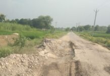 सड़क एक साल में उखड़ी:बलरामपुर में PWD ने बनाई थी, जगह-जगह गड्ढे; राहगीर हो रहे चोटिल सड़क एक साल में उखड़ी:बलरामपुर में PWD ने बनाई थी, जगह-जगह गड्ढे; राहगीर हो रहे चोटिल