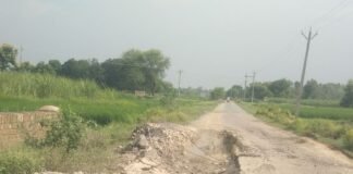 सड़क एक साल में उखड़ी:बलरामपुर में PWD ने बनाई थी, जगह-जगह गड्ढे; राहगीर हो रहे चोटिल सड़क एक साल में उखड़ी:बलरामपुर में PWD ने बनाई थी, जगह-जगह गड्ढे; राहगीर हो रहे चोटिल