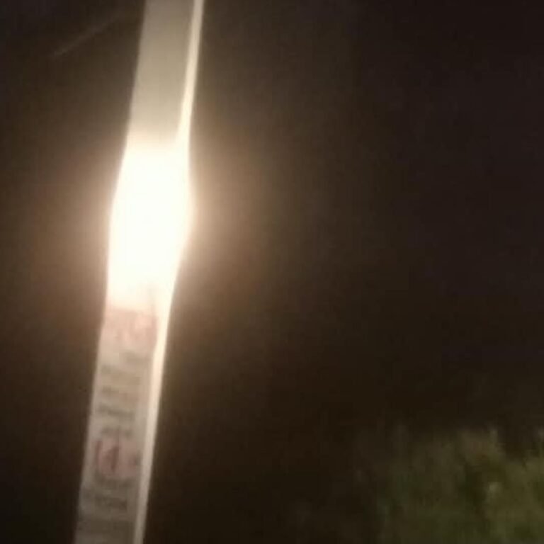 व्यापारियों के प्रदर्शन के बाद बिजली विभाग हरकत में आया:नासिरगंज में रात में भी खंभे लगाने और लाइन दुरुस्त करने का काम तेज