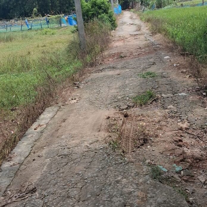 खेसरहा में नासिरगंज-चिऊटहा से मेहनुआ प्रथम मार्ग खराब:ग्रामीणों ने मरम्मत की मांग की, 10 साल से नहीं हुई ठीक