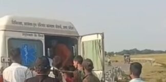 मूर्ति लेने जा रहा टेंपो डिवाइडर से टकराया, चार घायल:सिद्धार्थनगर के सोहास-नौगढ़ मार्ग पर फुलवरिया के पास हादसा; सूचना पर पहुंची पुलिस मूर्ति लेने जा रहा टेंपो डिवाइडर से टकराया, चार घायल:सिद्धार्थनगर के सोहास-नौगढ़ मार्ग पर फुलवरिया के पास हादसा; सूचना पर पहुंची पुलिस