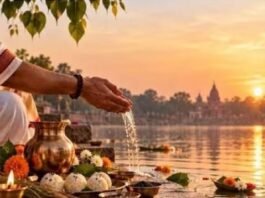 पितृपक्ष में घर के आसपास दिखें ये 4 जीव, समझें पितरों का संकेत, भूलकर भी न करें अनदेखा