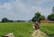 बस्ती में स्कूल का रास्ता खराब, बच्चों को खतरा:डीएम से बोलीं बेटियां- मैम, हमारे स्कूल का रास्ता बनवा दीजिए; विधायक-सांसद से भी मांग की