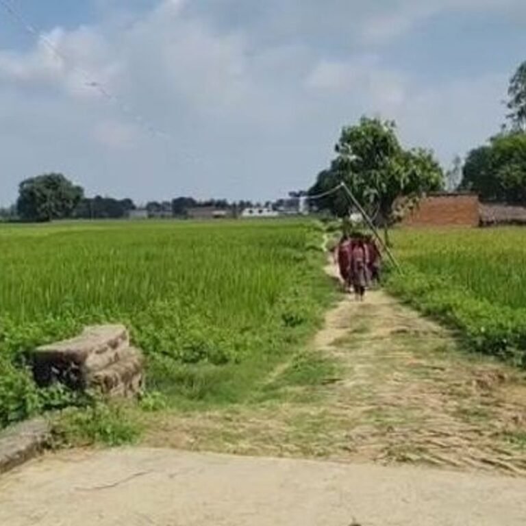 बस्ती में स्कूल का रास्ता खराब, बच्चों को खतरा:डीएम से बोलीं बेटियां- मैम, हमारे स्कूल का रास्ता बनवा दीजिए; विधायक-सांसद से भी मांग की