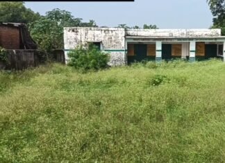Ahirouli Bal Vatika Controversy | Anganwadi Center Staff Attendance Audit Ahirouli Bal Vatika Controversy | Anganwadi Center Staff Attendance Audit
