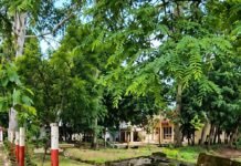 सिद्धार्थनगर में जुआ खेलते तीन लोग गिरफ्तार:मौके से 3500 रुपए नकद और ताश के 52 पत्ते बरामद सिद्धार्थनगर में जुआ खेलते तीन लोग गिरफ्तार:मौके से 3500 रुपए नकद और ताश के 52 पत्ते बरामद