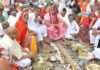 तुलसी का पौधा बार-बार सूख रहा है? पितृपक्ष में न करें नजर अंदाज, हो सकता है पितृदोष