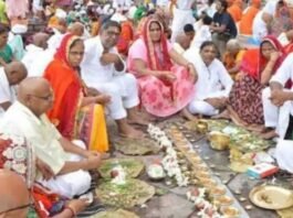 तुलसी का पौधा बार-बार सूख रहा है? पितृपक्ष में न करें नजर अंदाज, हो सकता है पितृदोष