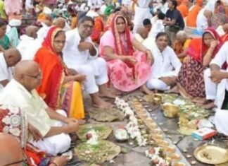 तुलसी का पौधा बार-बार सूख रहा है? पितृपक्ष में न करें नजर अंदाज, हो सकता है पितृदोष