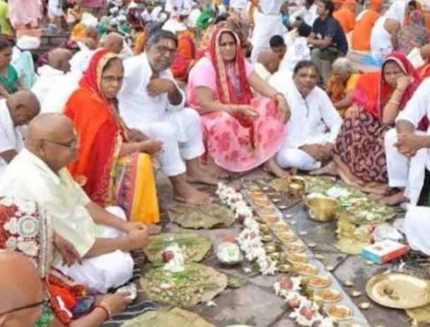 तुलसी का पौधा बार-बार सूख रहा है? पितृपक्ष में न करें नजर अंदाज, हो सकता है पितृदोष