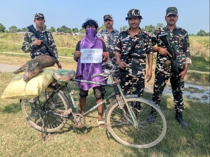 SSB Arrests Nepali National for Wild Boar Poaching at Balrampur Border