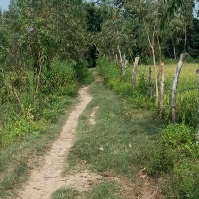 महादेवा सलारपुर से मोहनलालपुरवा मार्ग बदहाल:वर्षों से कच्चा और अंधेरे में डूबा है, बरसात में कीचड़ से ग्रामीण परेशान