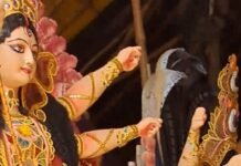 नगर बाजार में मां दुर्गा की प्रतिमाएं तैयार:पूजा पंडालों में स्थापना की तैयारियां तेज, रौनक बढ़ी नगर बाजार में मां दुर्गा की प्रतिमाएं तैयार:पूजा पंडालों में स्थापना की तैयारियां तेज, रौनक बढ़ी