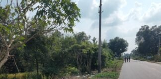 लालपुर में सड़क किनारे गंदगी का अंबार:ग्रामीण परेशान, बदबू फैलने और मच्छरों के बढ़ने का डर लालपुर में सड़क किनारे गंदगी का अंबार:ग्रामीण परेशान, बदबू फैलने और मच्छरों के बढ़ने का डर