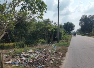 लालपुर में सड़क किनारे गंदगी का अंबार:ग्रामीण परेशान, बदबू फैलने और मच्छरों के बढ़ने का डर लालपुर में सड़क किनारे गंदगी का अंबार:ग्रामीण परेशान, बदबू फैलने और मच्छरों के बढ़ने का डर