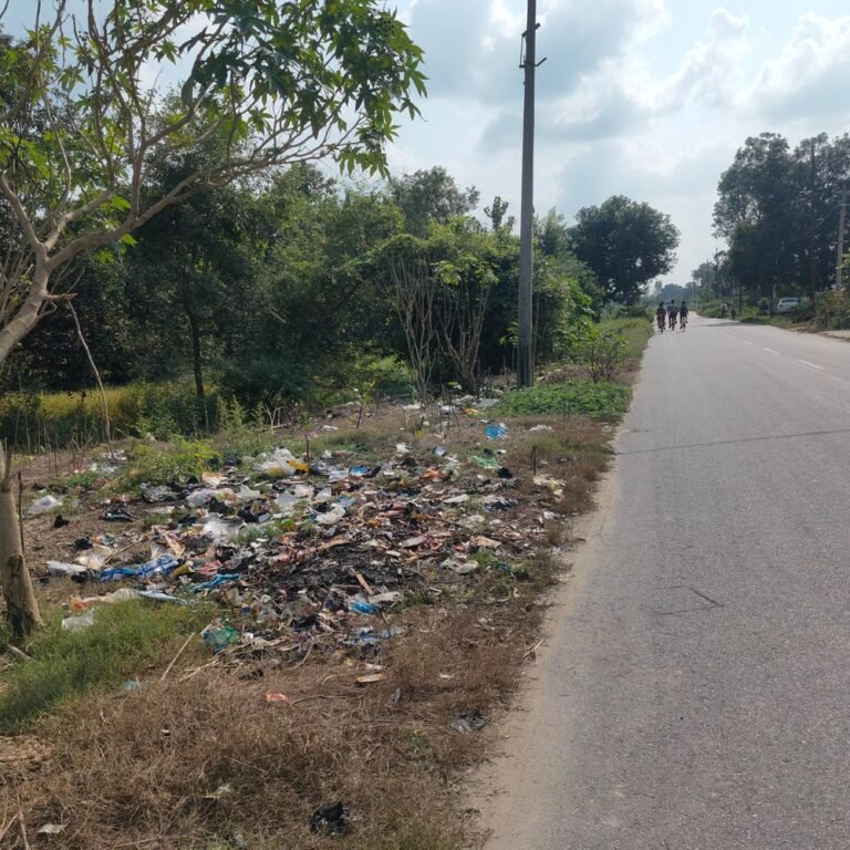 लालपुर में सड़क किनारे गंदगी का अंबार:ग्रामीण परेशान, बदबू फैलने और मच्छरों के बढ़ने का डर