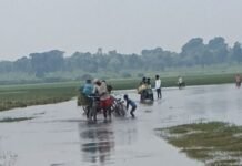 श्रावस्ती के हरदत्त नगर से जमुनहा मार्ग पर जलभराव:राहगीरों और वाहन चालकों को परेशानी, सड़क खराब होने से हादसे का डर