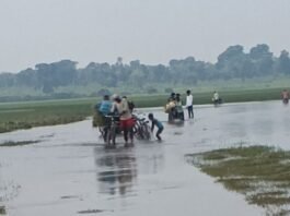 श्रावस्ती के हरदत्त नगर से जमुनहा मार्ग पर जलभराव:राहगीरों और वाहन चालकों को परेशानी, सड़क खराब होने से हादसे का डर
