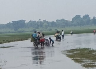 श्रावस्ती के हरदत्त नगर से जमुनहा मार्ग पर जलभराव:राहगीरों और वाहन चालकों को परेशानी, सड़क खराब होने से हादसे का डर