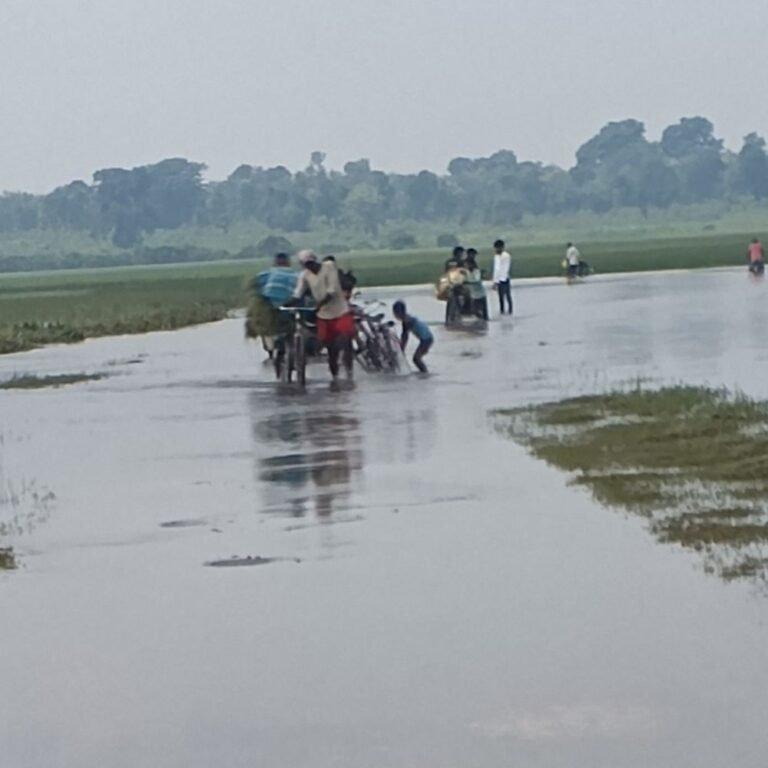 श्रावस्ती के हरदत्त नगर से जमुनहा मार्ग पर जलभराव:राहगीरों और वाहन चालकों को परेशानी, सड़क खराब होने से हादसे का डर