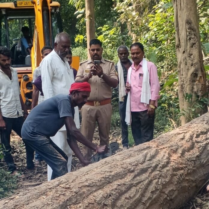 श्रावस्ती के जंगल में तूफान से गिरे-पेड़ हटाए जा रहे:नव दुर्गा विसर्जन स्थल तक जाने का रास्ता होगा सुगम; ग्राम प्रधान-वन विभाग कर रहे काम