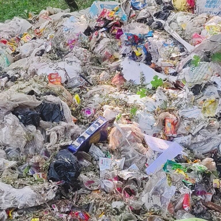 श्रावस्ती में गिलौला ब्लॉक सभागार के पास कूड़े का ढेर:जिम्मेदार बेखबर, बारिश के बाद दुर्गंध से लोग परेशान