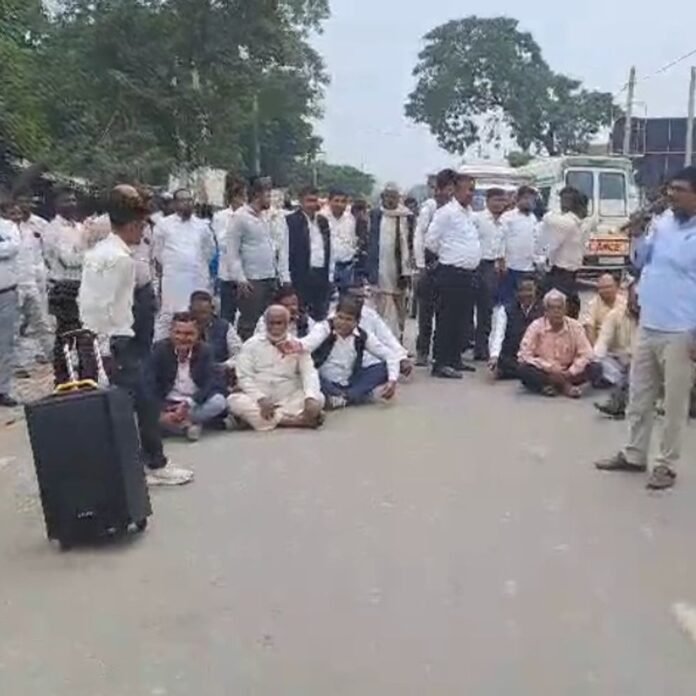 50301ca9-b178-4365-91cb-0ab7e0d0985d_1793356604997.jpg