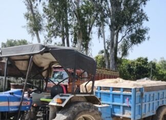 अवैध खनन में बालू लदी ट्रैक्टर ट्रॉली पकड़ी गई:नायब तहसीलदार ने मोतीपुर पुलिस को सौंपी, अवैध कारोबारियों में खलबली अवैध खनन में बालू लदी ट्रैक्टर ट्रॉली पकड़ी गई:नायब तहसीलदार ने मोतीपुर पुलिस को सौंपी, अवैध कारोबारियों में खलबली
