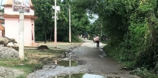 मन्नीटाड़ में सड़क जर्जर से ग्रामीणों को हादसे का डर:कई बार शिकायत के बाद भी सुनवाई नहीं, जलभराव से बढ़ रही परेशानी मन्नीटाड़ में सड़क जर्जर से ग्रामीणों को हादसे का डर:कई बार शिकायत के बाद भी सुनवाई नहीं, जलभराव से बढ़ रही परेशानी